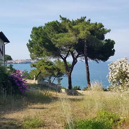 Marroni Anna ** San Giovanni (Isola d'Elba)